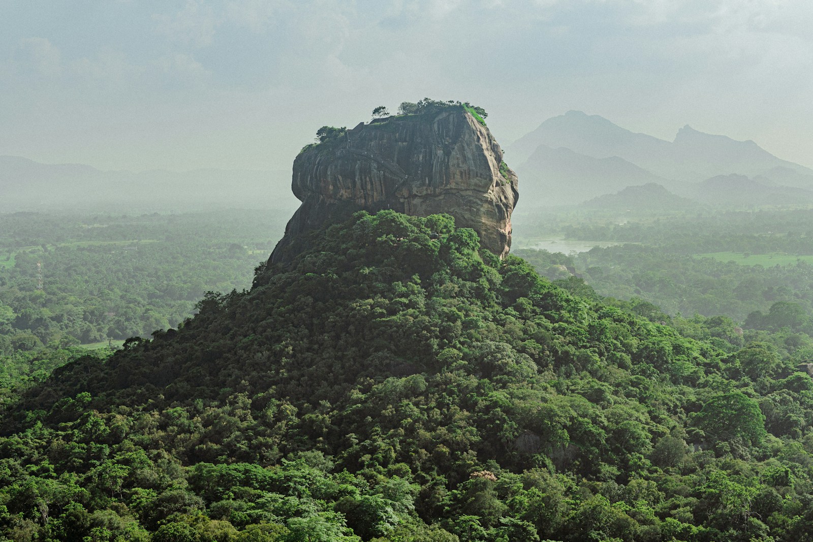Sigiriya rock rising above the green forest